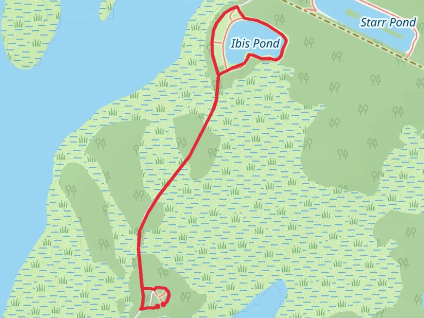 An image depicting the trail Pinckney Island Access Trail and its surrounding area.