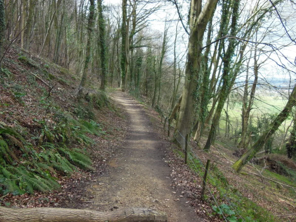Woodchester Park Loop