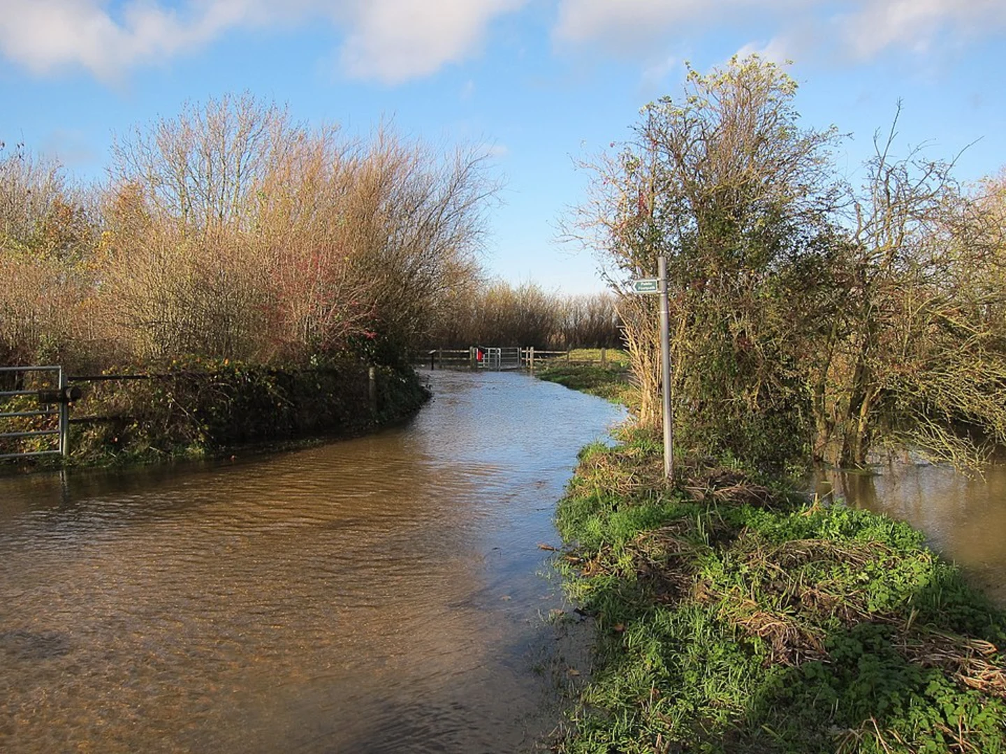 An image depicting the trail Fen Drayton Lakes Nature Reserve Loop and its surrounding area.