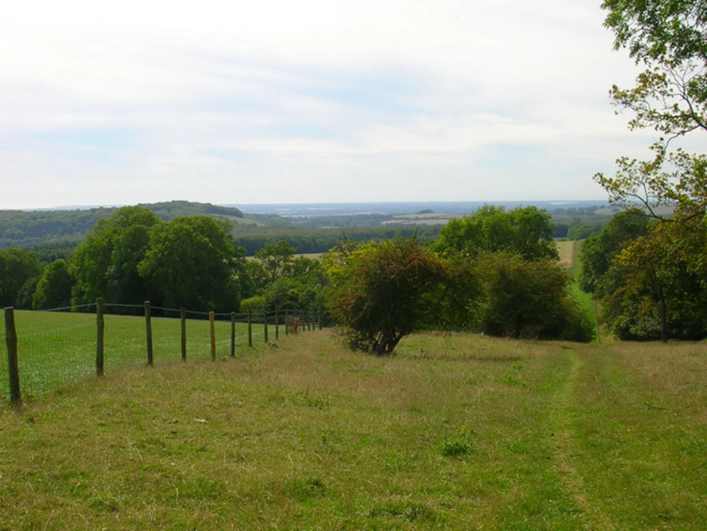 An image depicting the trail Eartham Wood and Slindon Wood Loop and its surrounding area.