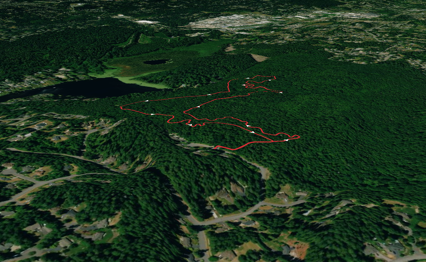 Mainline, Ephemeral and Big Leaf Loop Trail