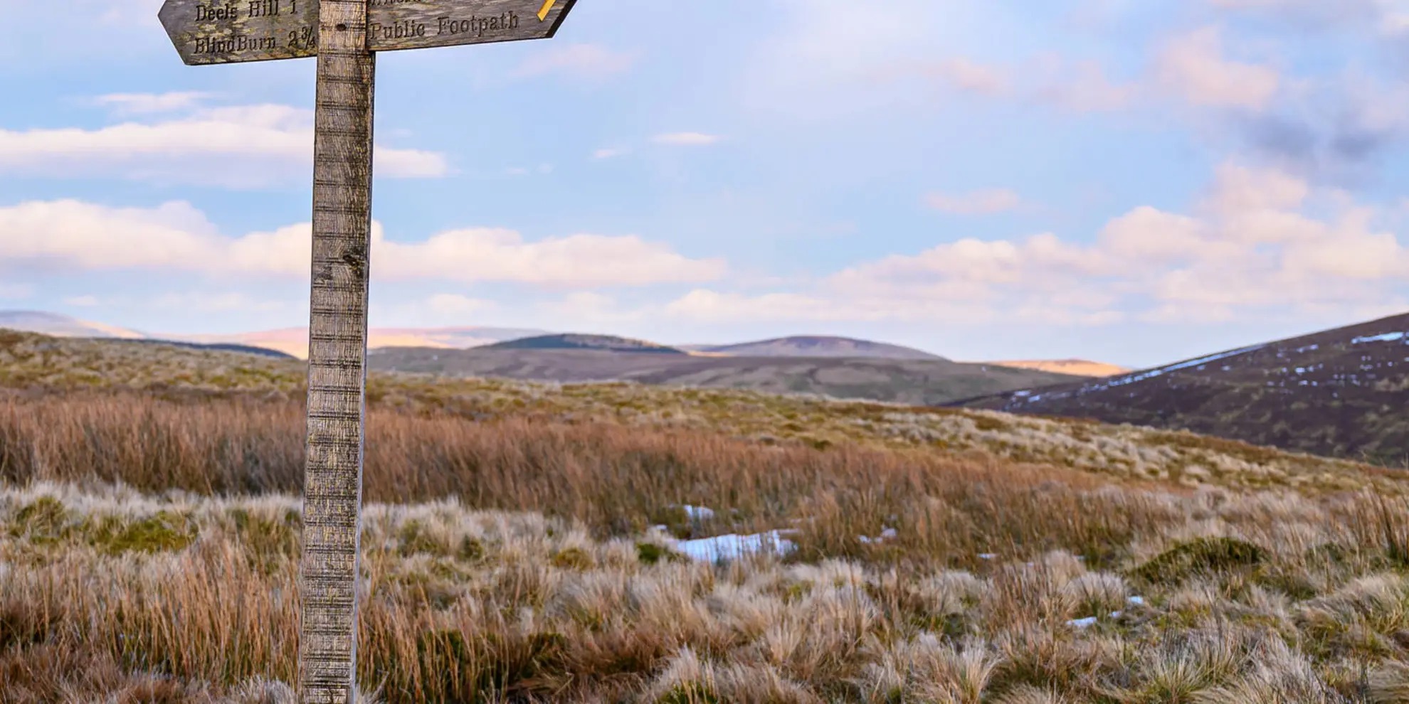 An image depicting the trail Cheviot Hills and Summit Walk and its surrounding area.