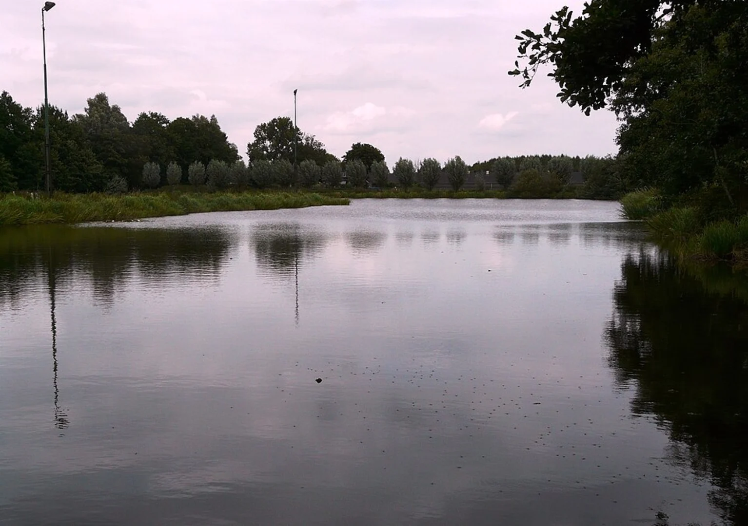 An image depicting the trail Grote Plas, Dobbeplas and Bieslandse Bos via Heempad and its surrounding area.
