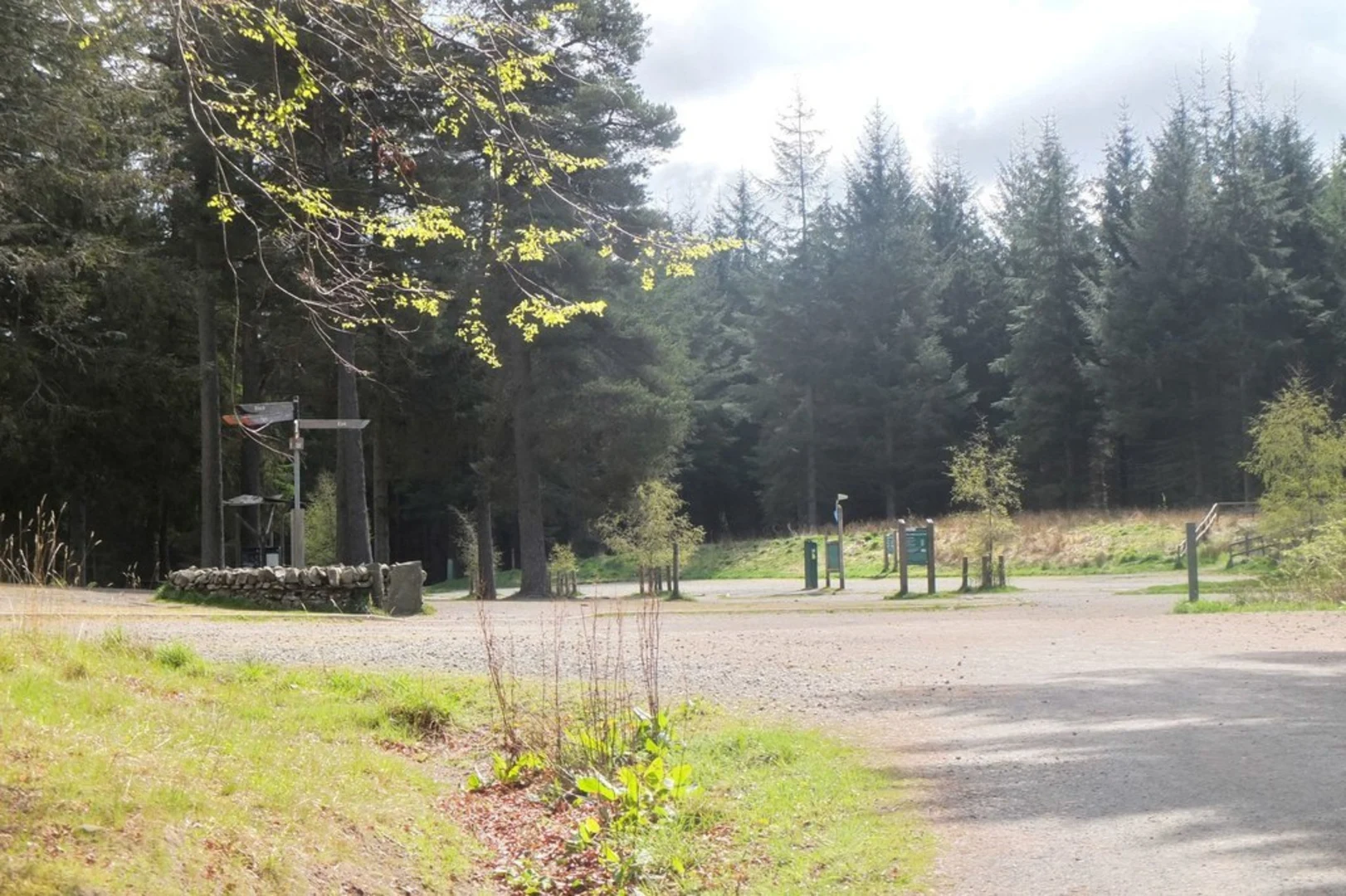 An image depicting the trail Tower Loop Trail from Glentress and its surrounding area.