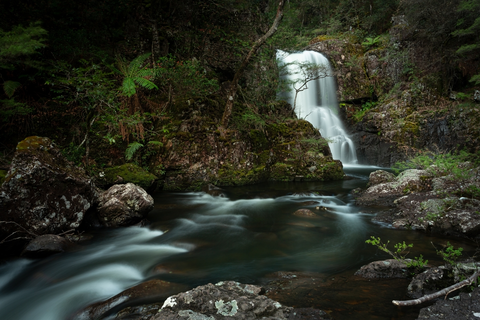 An image depicting the trail Gloucester Tops Circuit and its surrounding area.