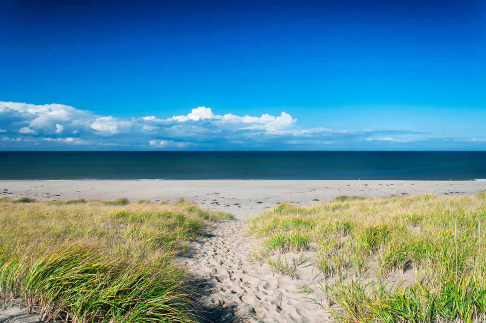 An image depicting the trail Race Point Beach and its surrounding area.