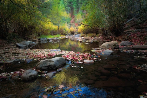 An image depicting the trail Drew Canyon and See Canyon Loop Trail and its surrounding area.