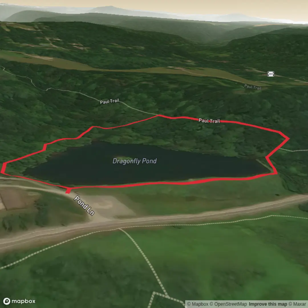 An image depicting the trail Dragonfly Pond Loop and its surrounding area.