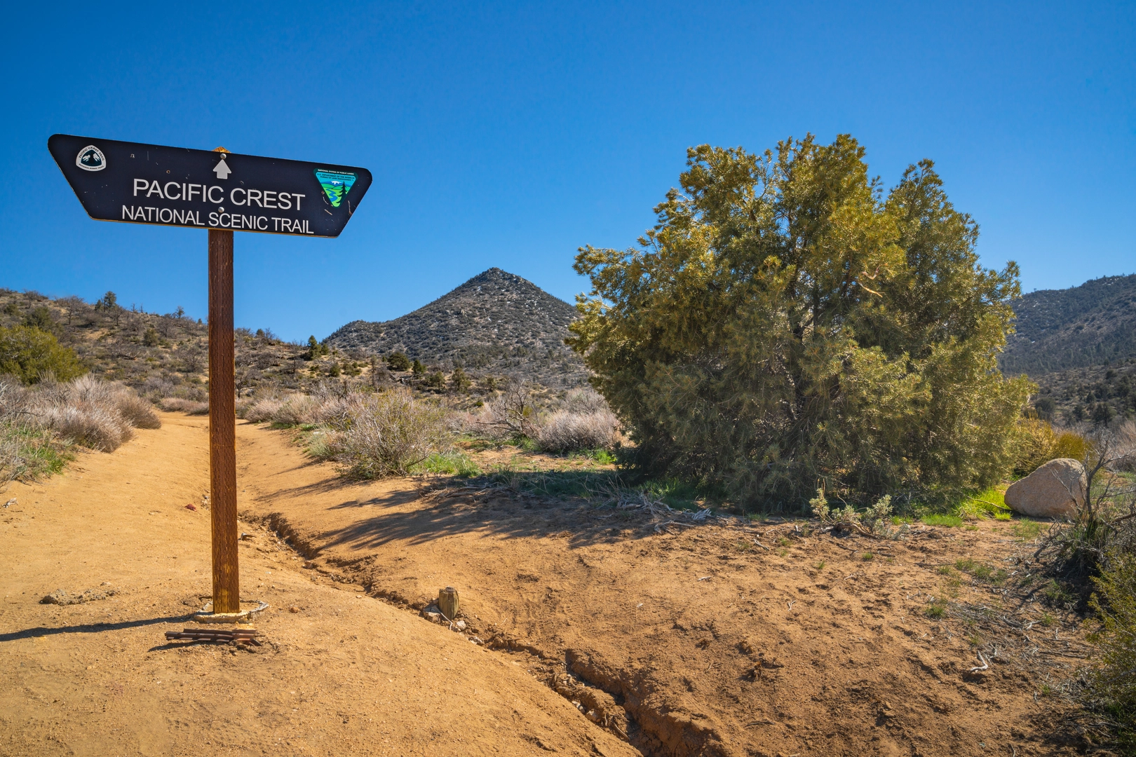 An image depicting the trail Walker Pass - PCT and its surrounding area.
