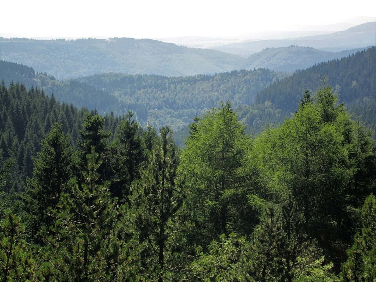 An image depicting the trail Pfanntalskopf and Touringen Via Porta and its surrounding area.