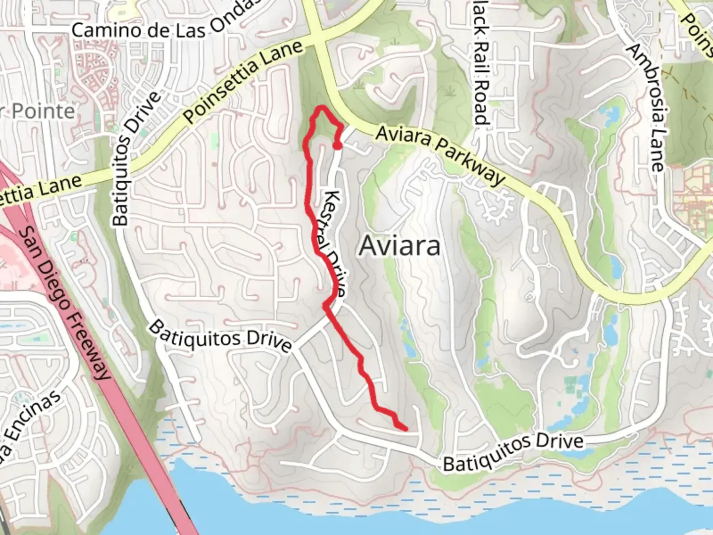 An image depicting the trail Eucalyptus Trail and its surrounding area.