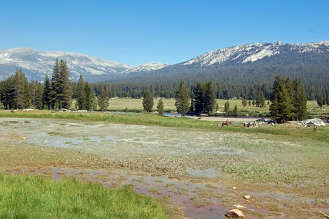 An image depicting the trail Tuolomne Meadowns Trail and its surrounding area.