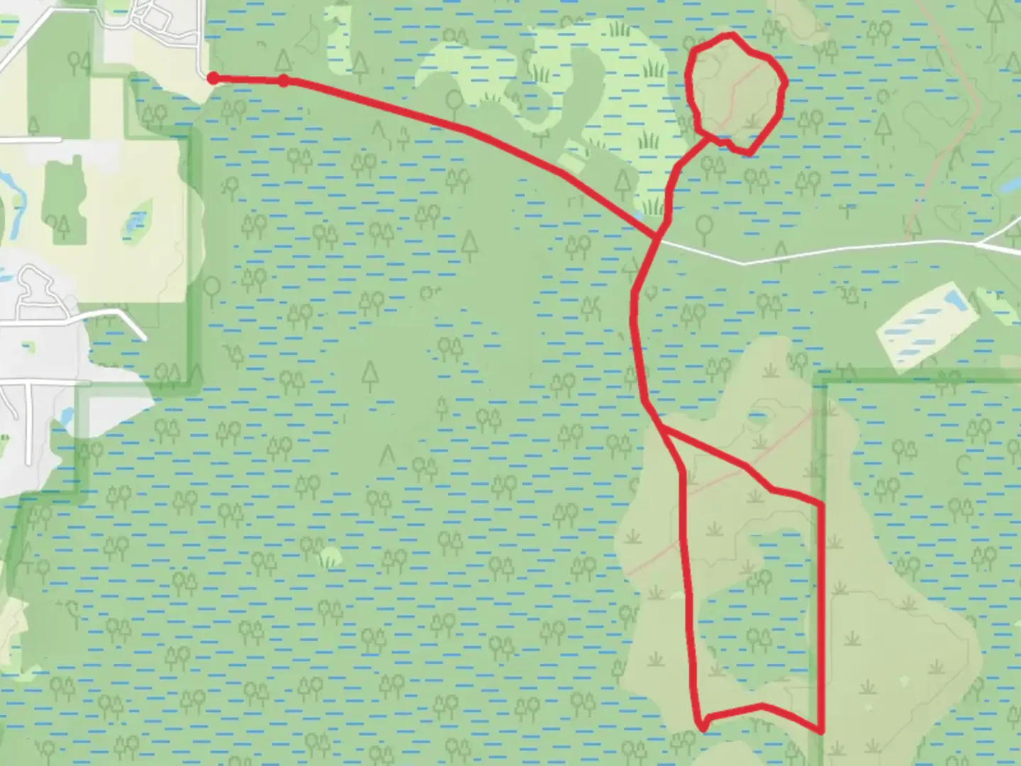 An image depicting the trail Big Cypress Swamp Loop and its surrounding area.