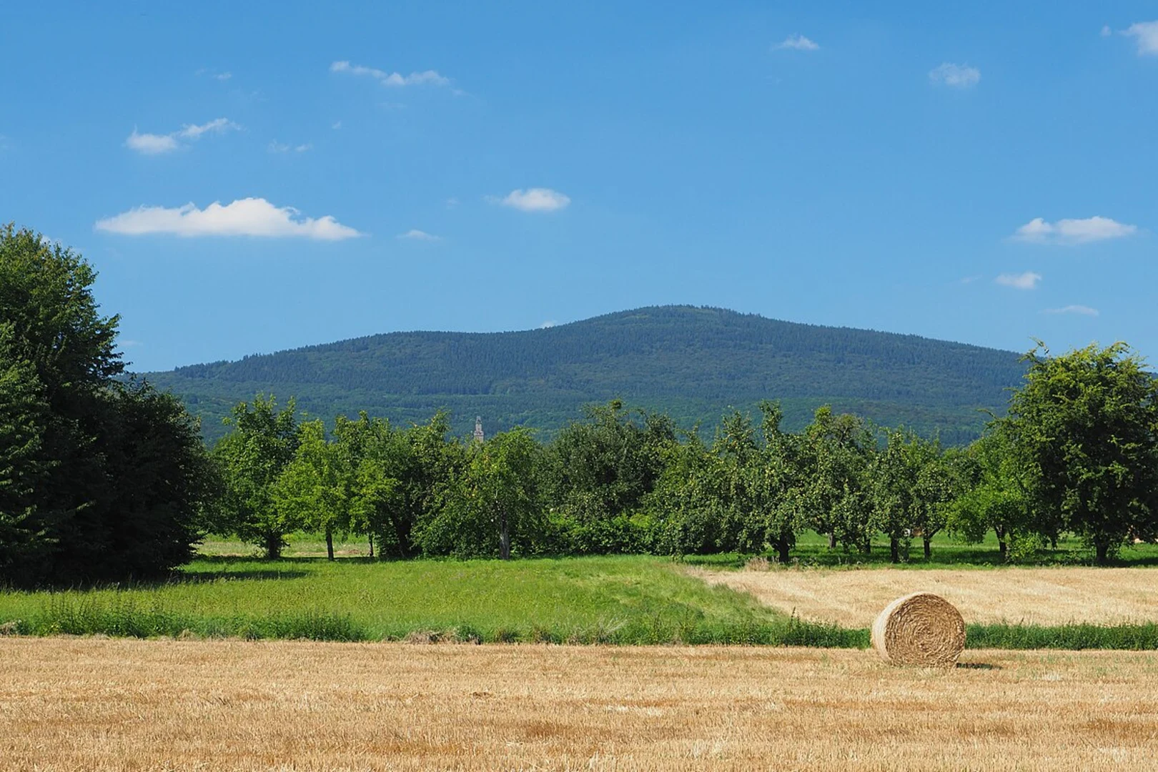An image depicting the trail Altkönig Loop and its surrounding area.