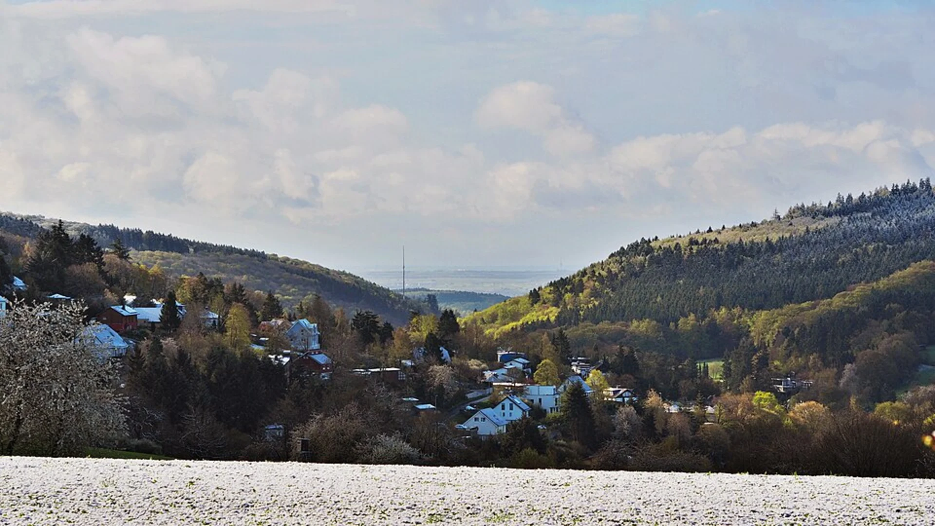 An image depicting the trail Niederwalluf to WambachMuehlenwanderweg and its surrounding area.