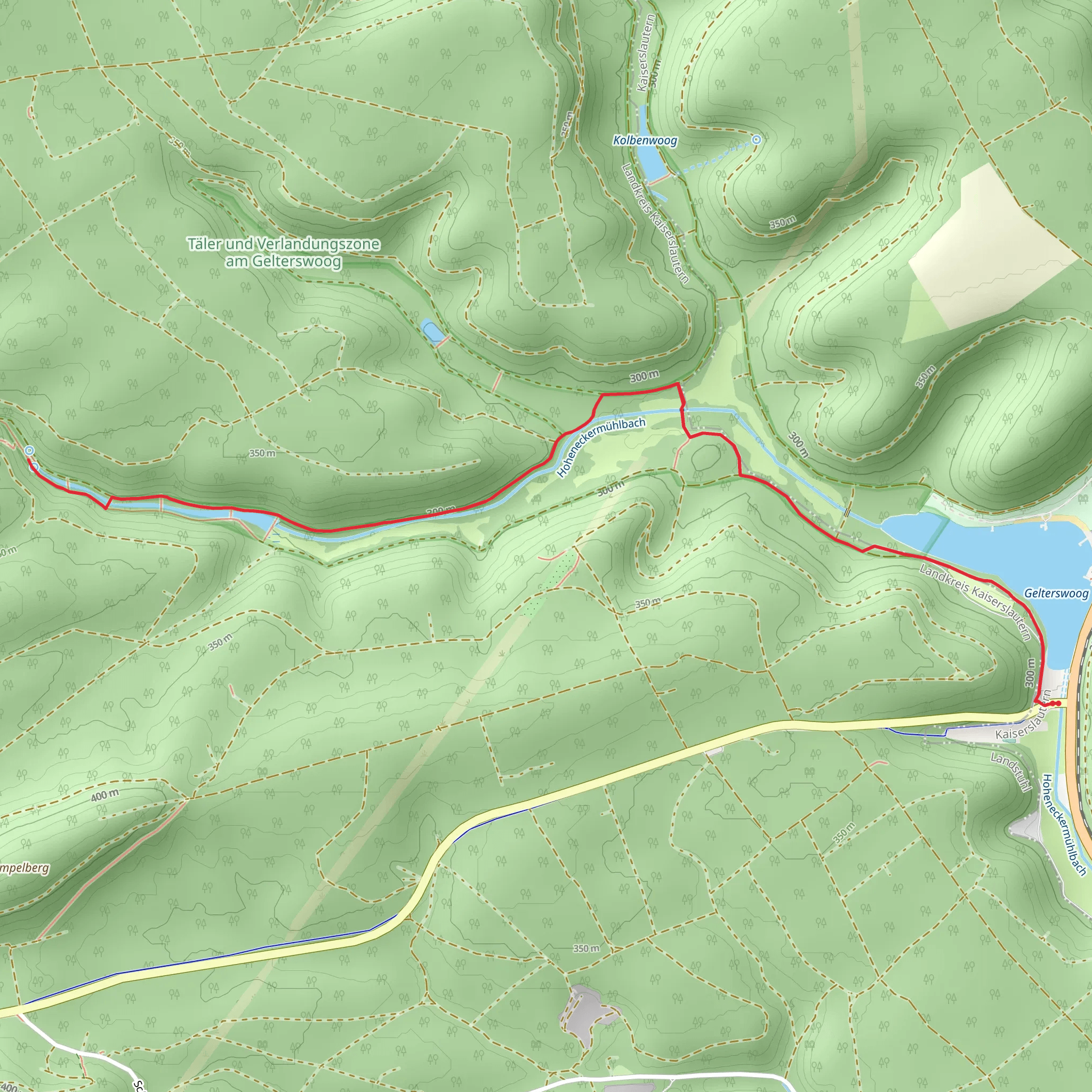 Täler und Verlandungszone am Gelterswoog mobile static map