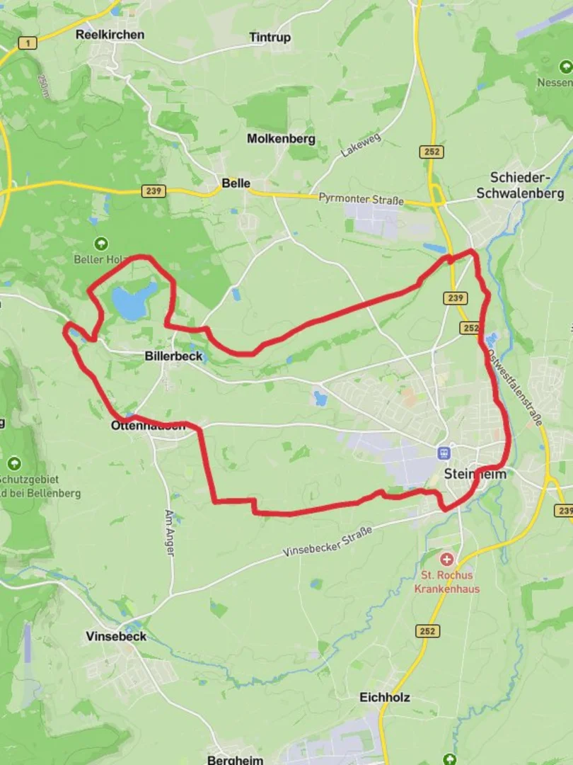 An image depicting the trail Steinheim Loop via Norderteich and its surrounding area.