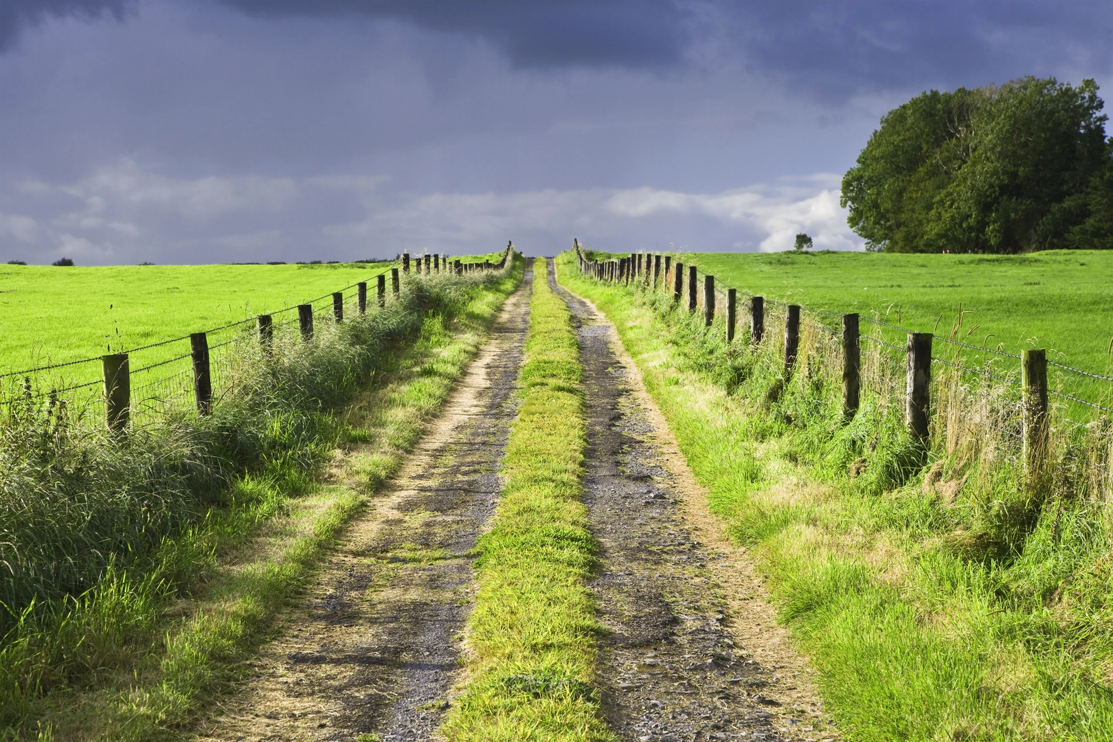 An image depicting the trail Mote Park - Bluebell Loop and its surrounding area.