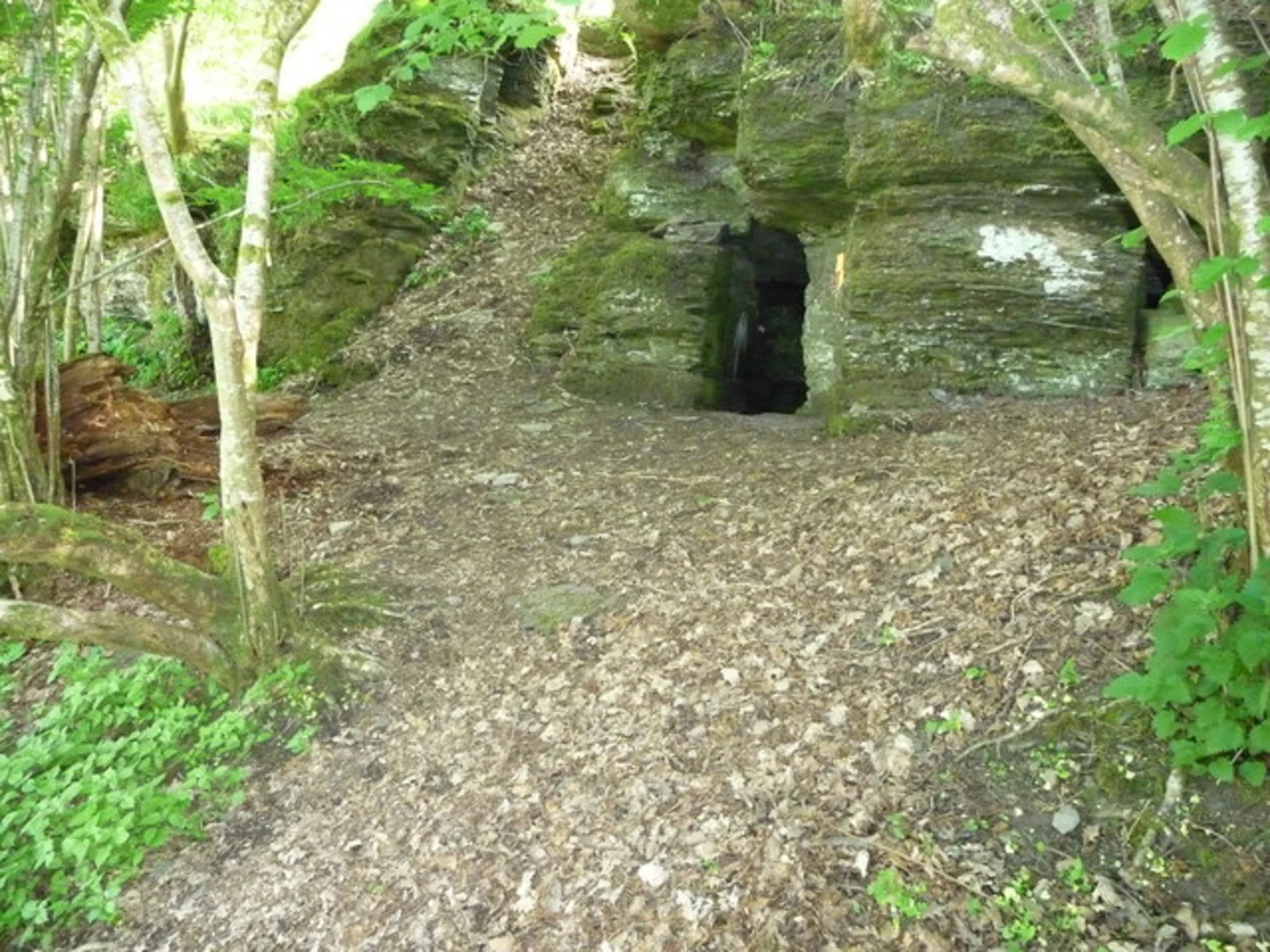 An image depicting the trail Aberedw and Llewelyn's Cave and its surrounding area.