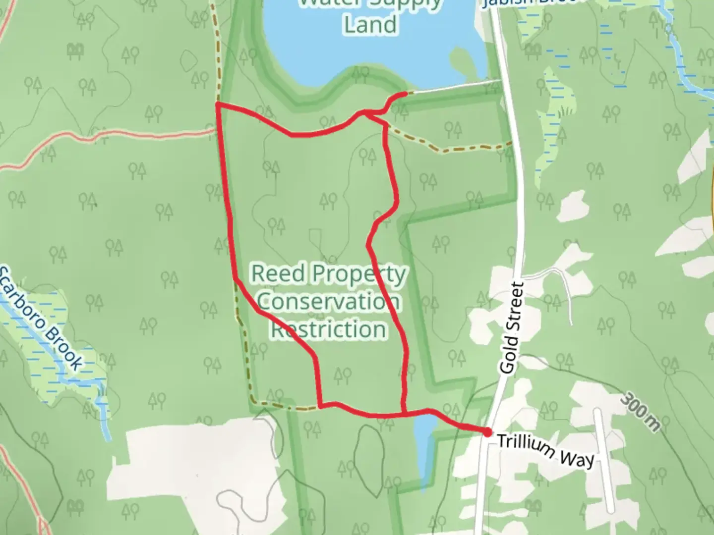 An image depicting the trail Knights Pond Loop and its surrounding area.