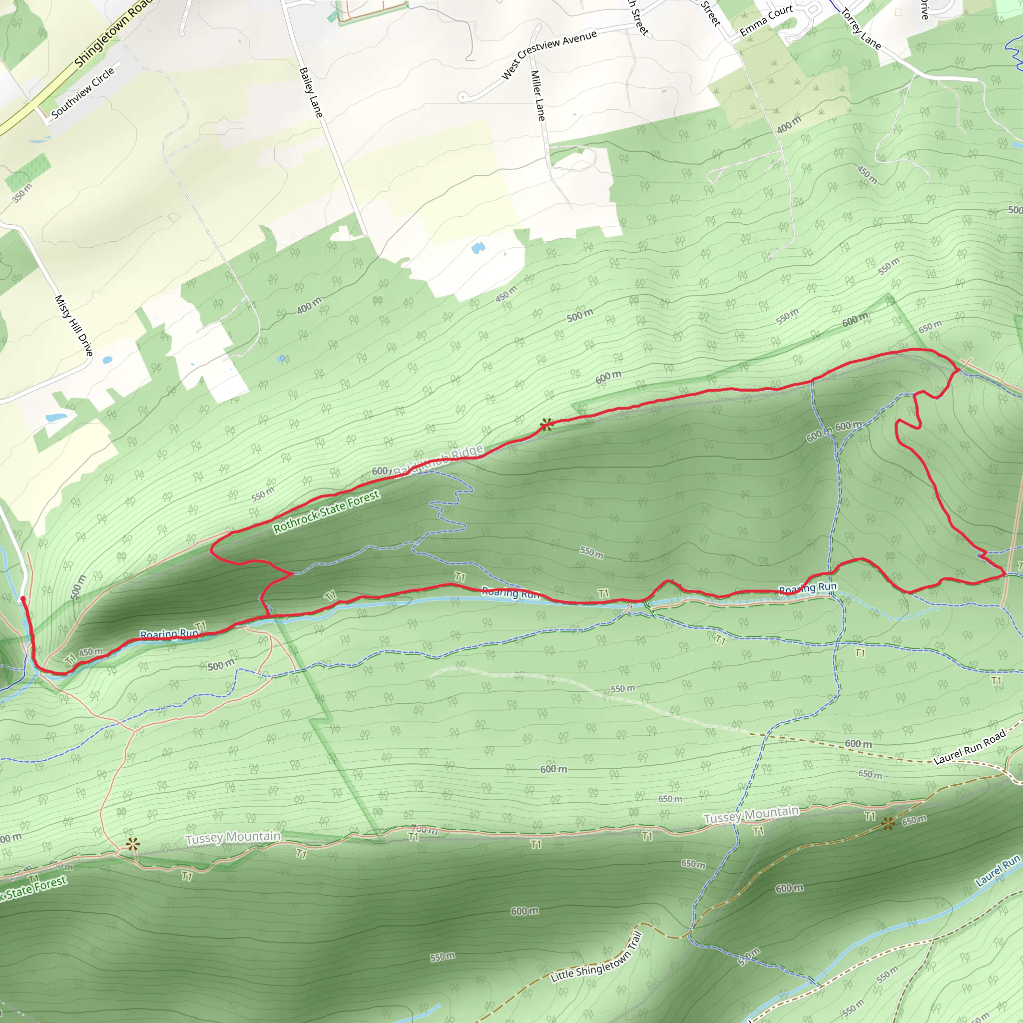 Thickhead Mountain Hiking Loop mobile static map