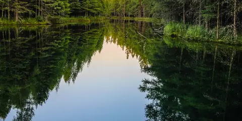 An image depicting the trail Haywire Grade Trail and its surrounding area.