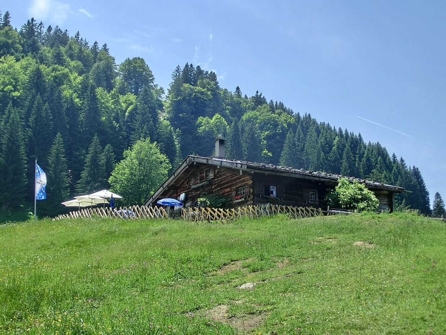 An image depicting the trail Immenstädter Horn Peak Loop via Wanderwegenetz Immenstadt and its surrounding area.