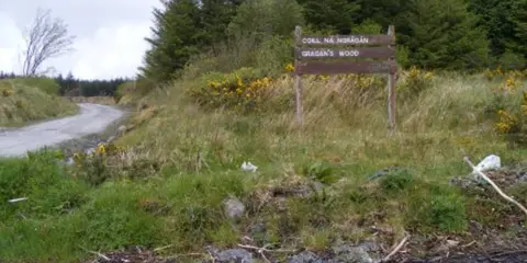 An image depicting the trail Gragans Wood and its surrounding area.