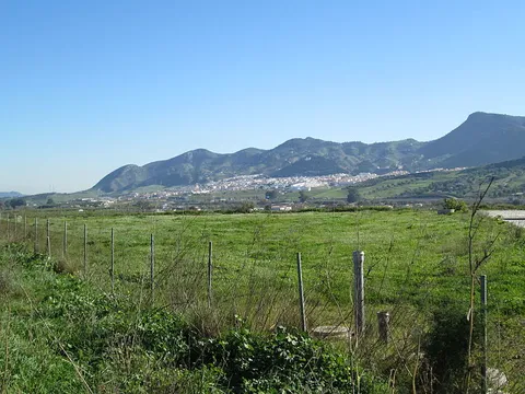 An image depicting the trail PR 1 Areeiro Footpath and its surrounding area.