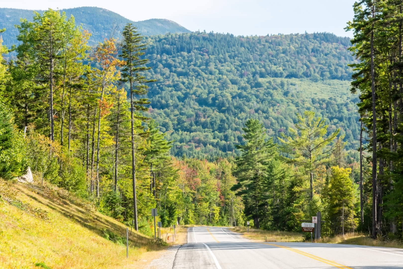 An image depicting the trail Lovequist Loop Trail and its surrounding area.