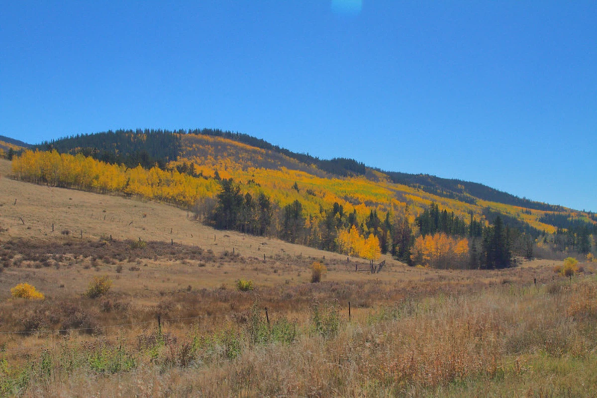 Colorado Trail - Kenosha Pass
