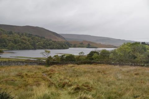 An image depicting the trail Drumnalifferney Mountain North East Top Loop from Dunlewey Lough and its surrounding area.