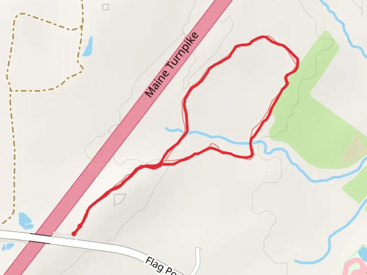 An image depicting the trail Flag Pond Road Loop and its surrounding area.