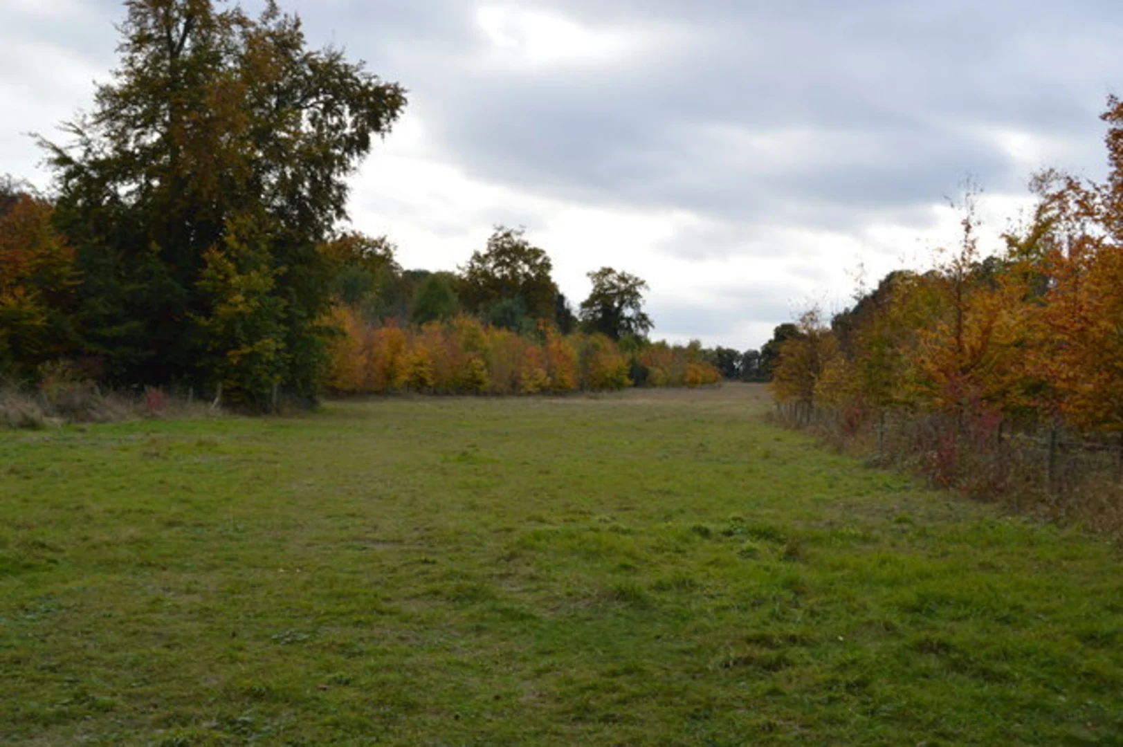 An image depicting the trail Gog Magog Hills Walk and its surrounding area.