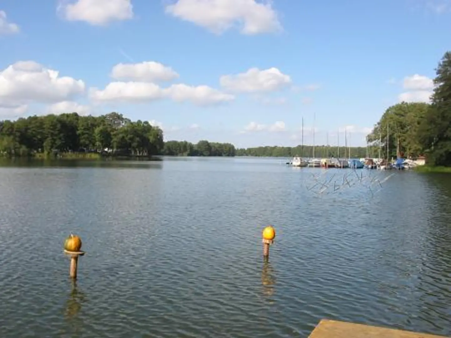 An image depicting the trail Klostersee Loop and its surrounding area.