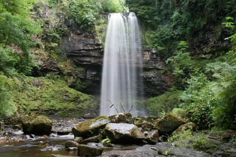 An image depicting the trail Henrhyd Falls Walk and its surrounding area.