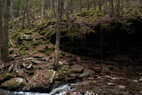 Double Run Nature Loop Trail - Green