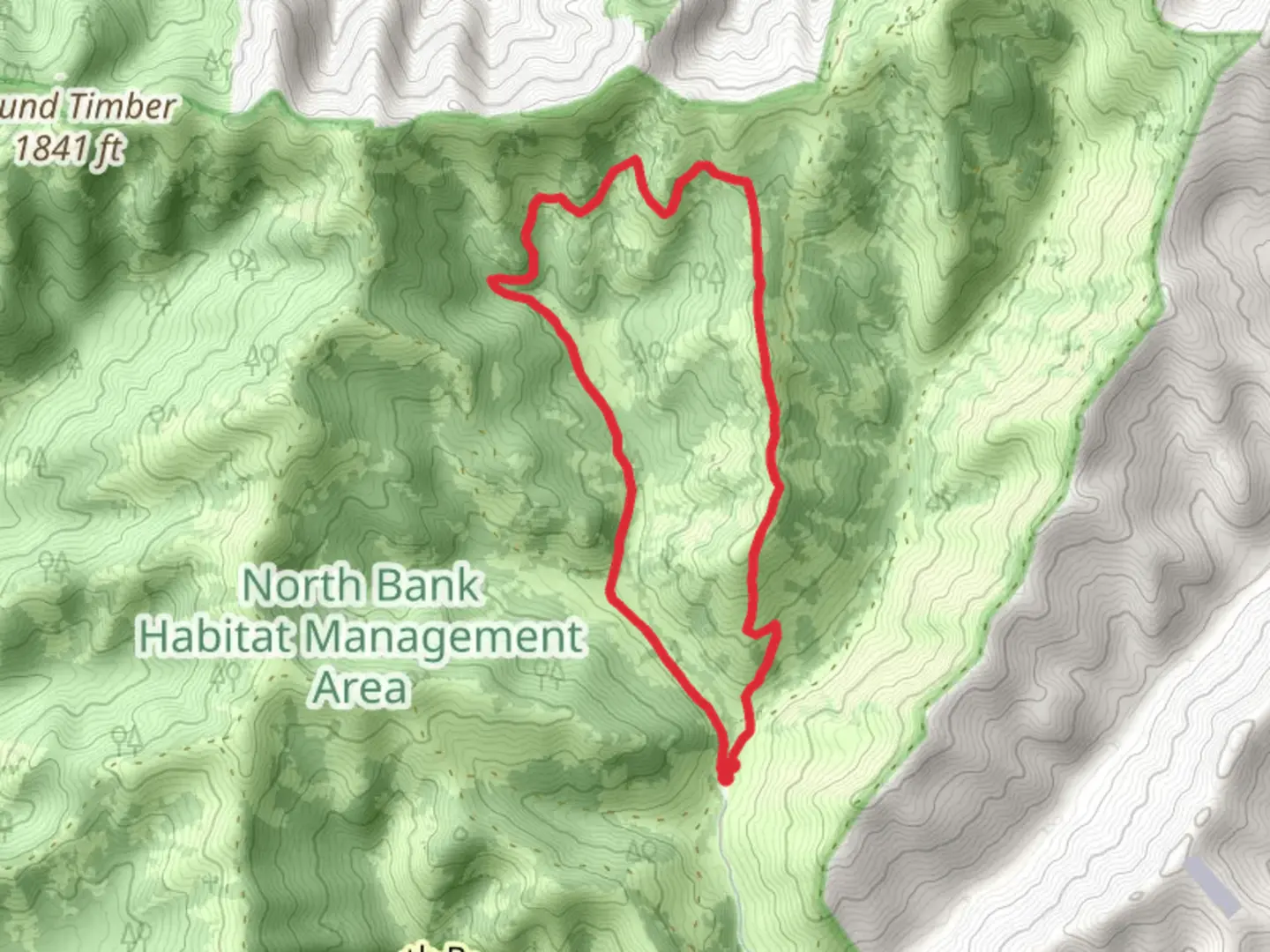 An image depicting the trail Soggy Bottoms Road Loop and its surrounding area.