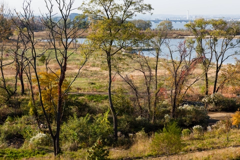 An image depicting the trail Meadow Trail and its surrounding area.