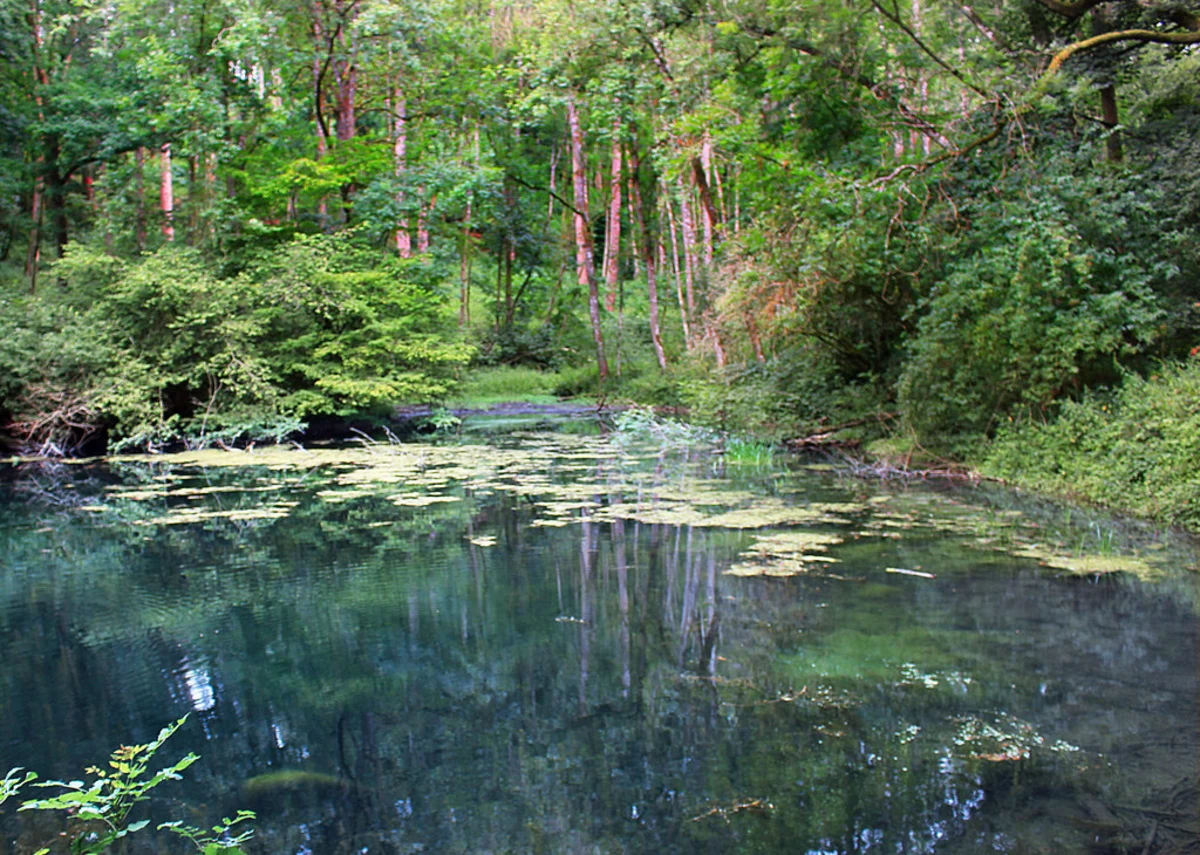 Croft Castle and Parkland Short Loop