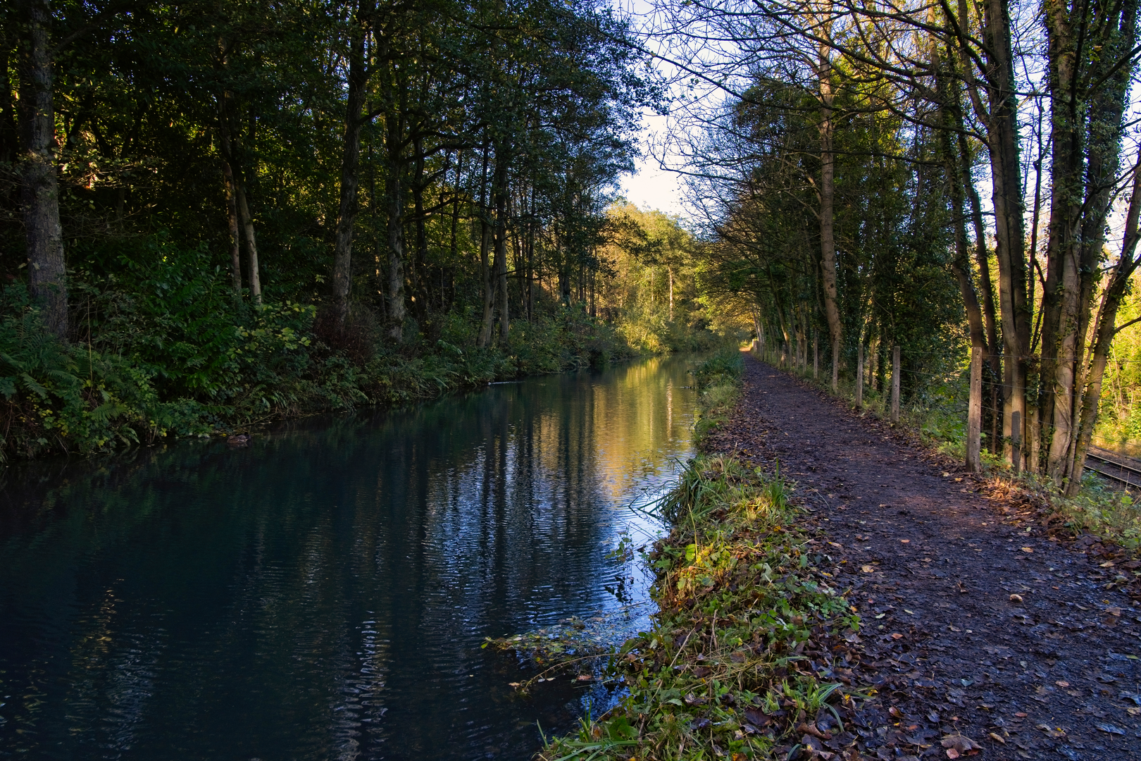 An image depicting the trail Cromford Canal and Lea Bridge and its surrounding area.
