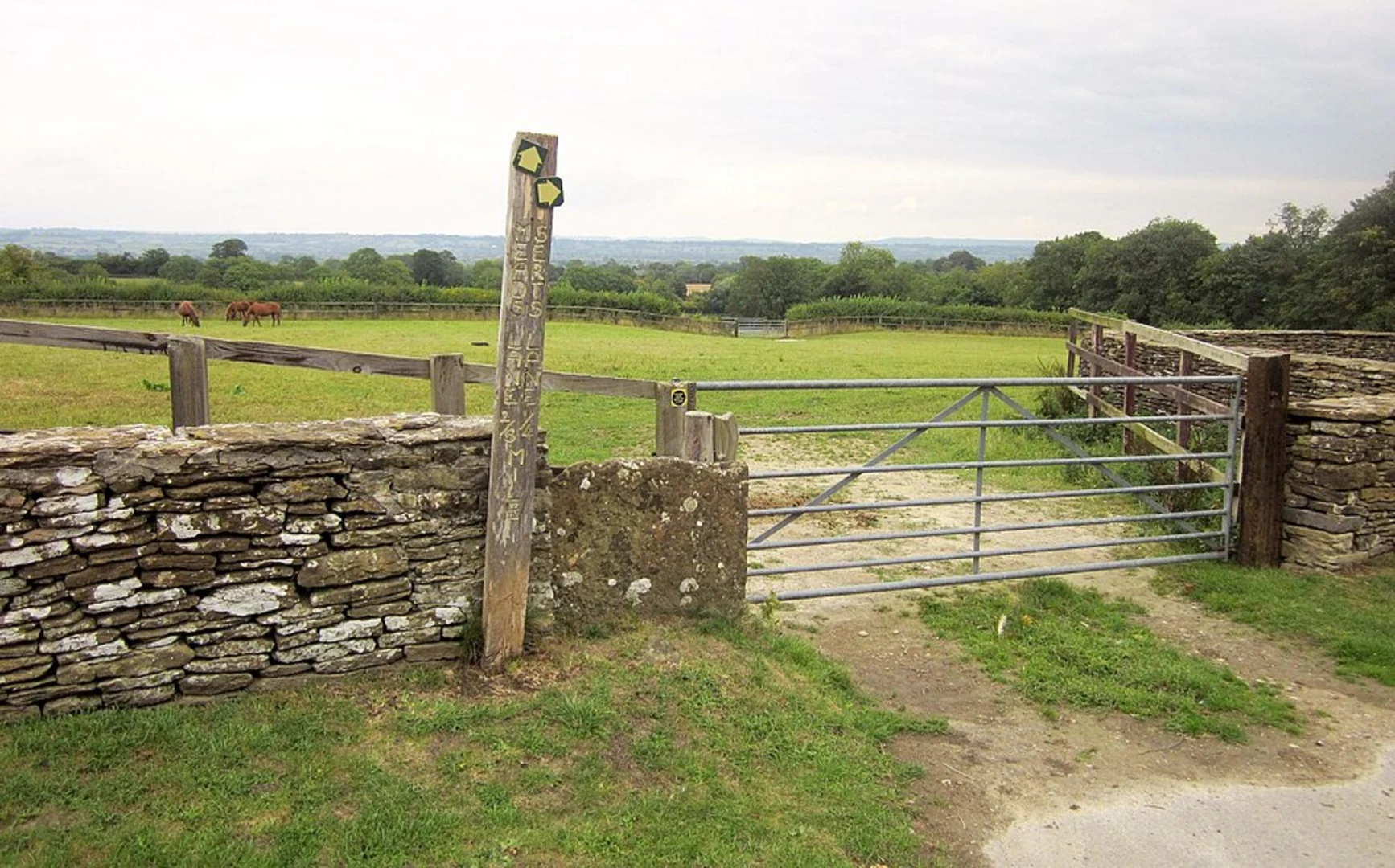 An image depicting the trail Wilkinthroop Loop and its surrounding area.