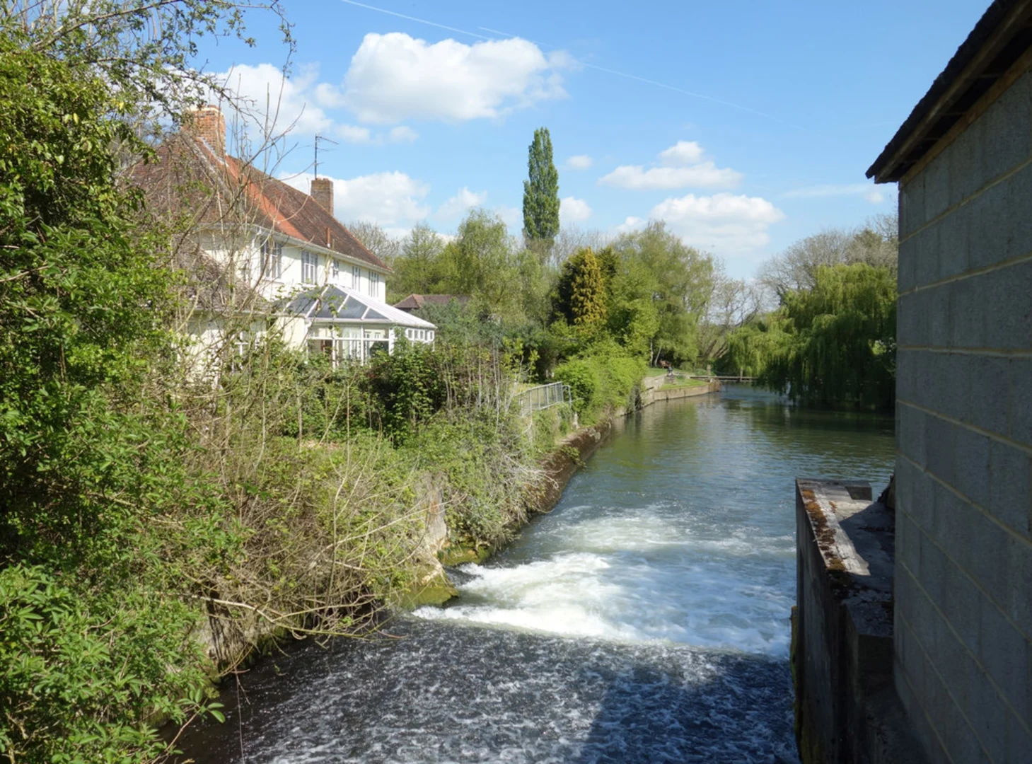 An image depicting the trail The Old Mill and Aldermaston Wharf Loop and its surrounding area.