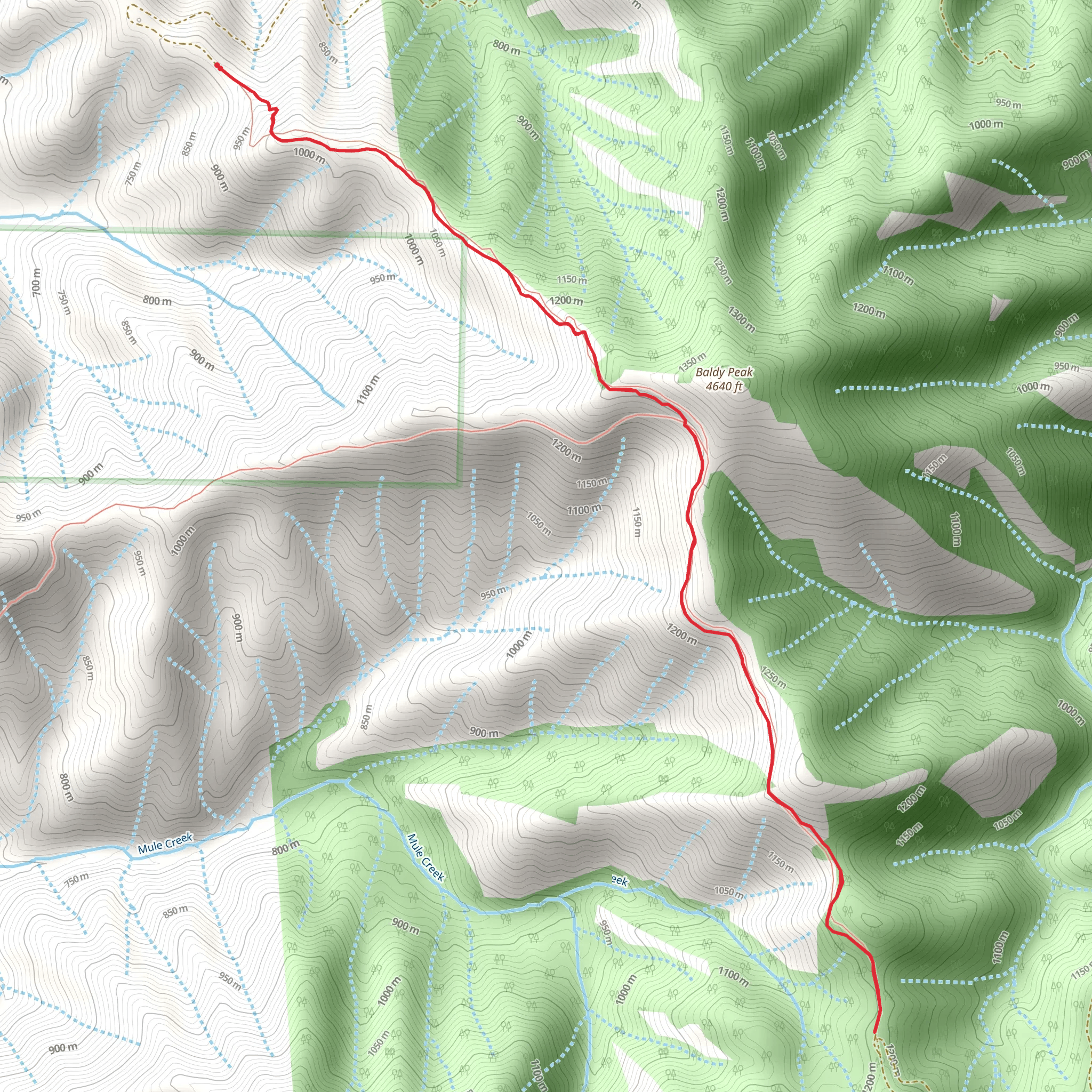 Charlie Buck - Baldy Peak Trail mobile static map