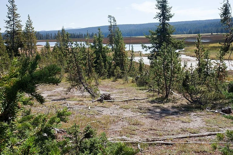 An image depicting the trail Shoshone Lake via Delacy Creek Trail and its surrounding area.