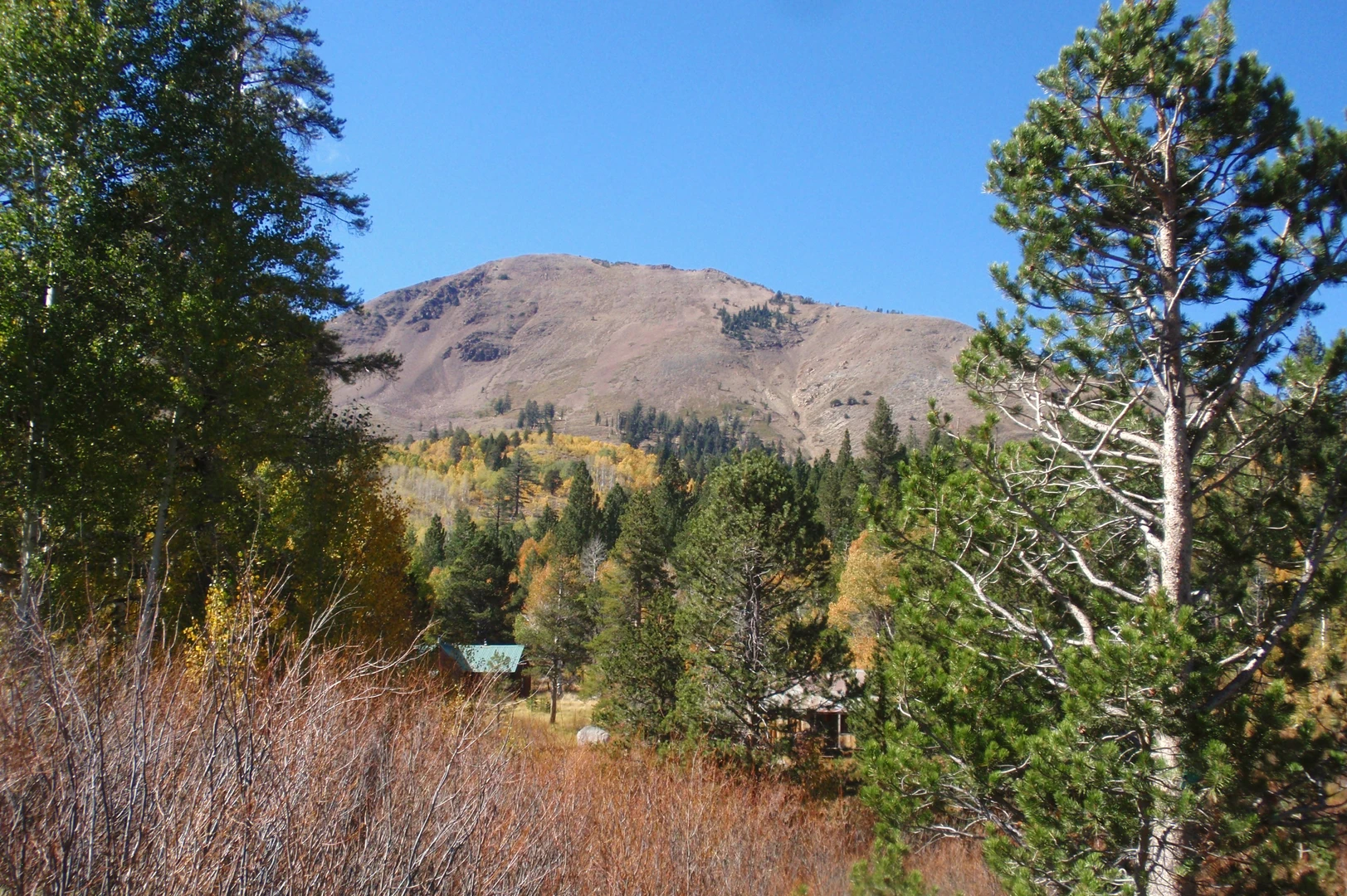 An image depicting the trail Frog Lake via PCT and its surrounding area.