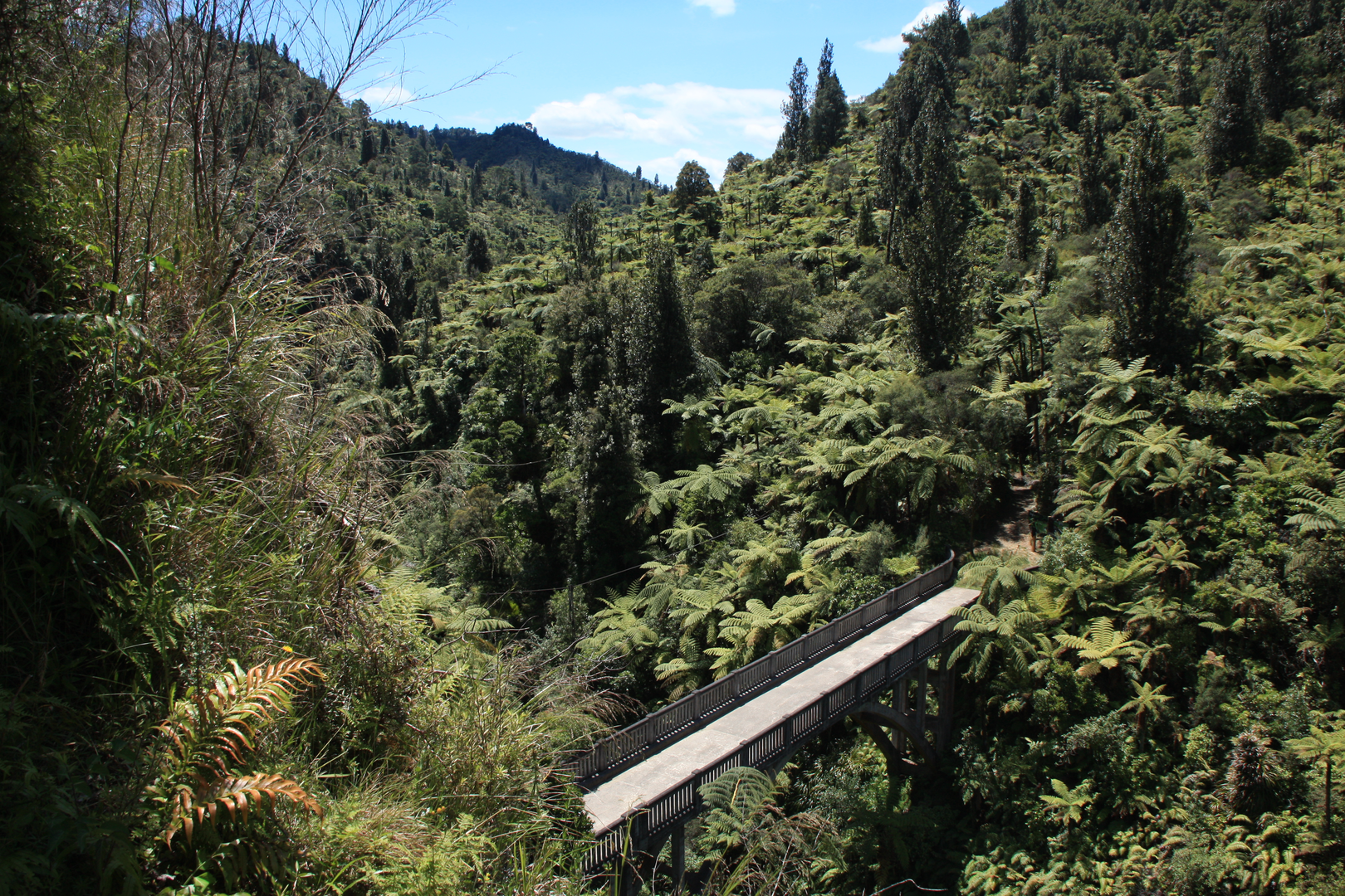An image depicting the trail Bridge to Nowhere Walk and its surrounding area.