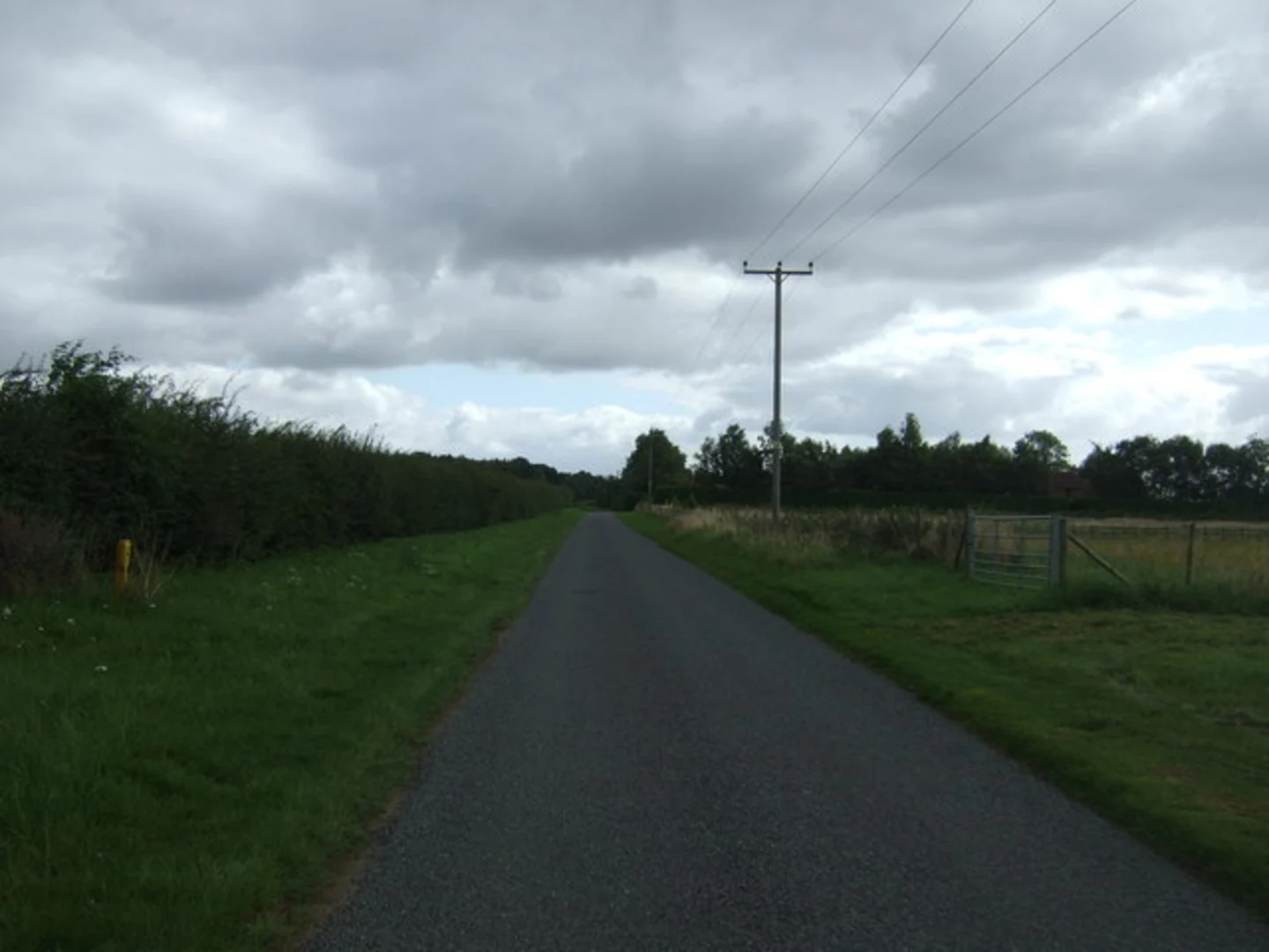 An image depicting the trail Nocton Wood Loop and its surrounding area.