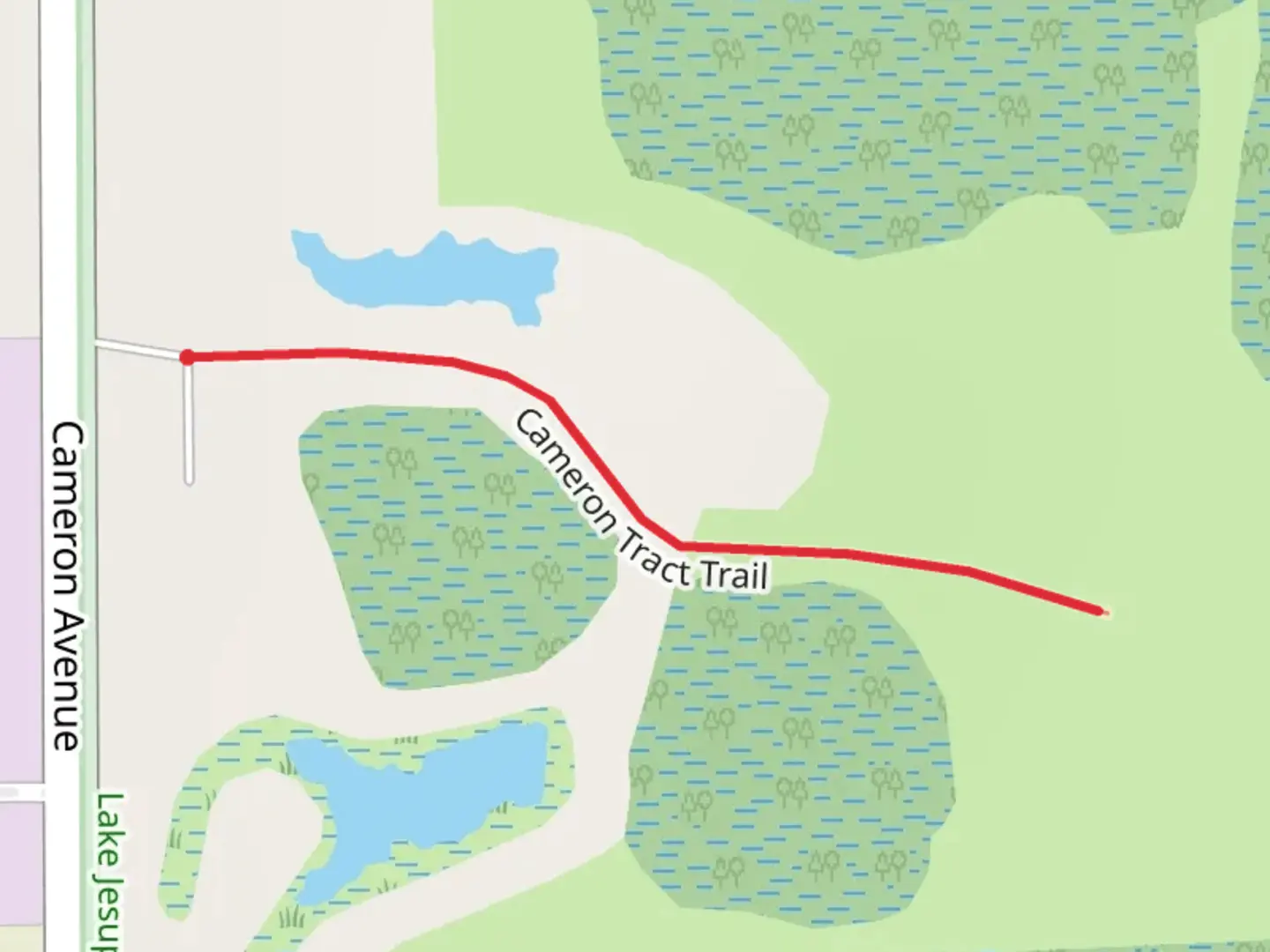 An image depicting the trail Cameron Tract Trail and its surrounding area.