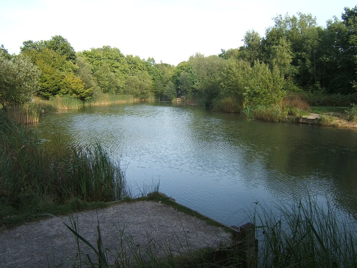 Cardiac Hill, Shorne Wood and Randall Wood Loop
